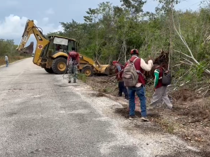 Limpieza de la carretera Mahahual- Xcalak 