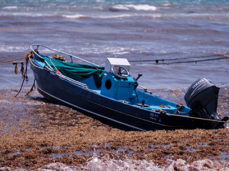 Semar colocará en Quintana Roo barrera antisargazo mejorada
