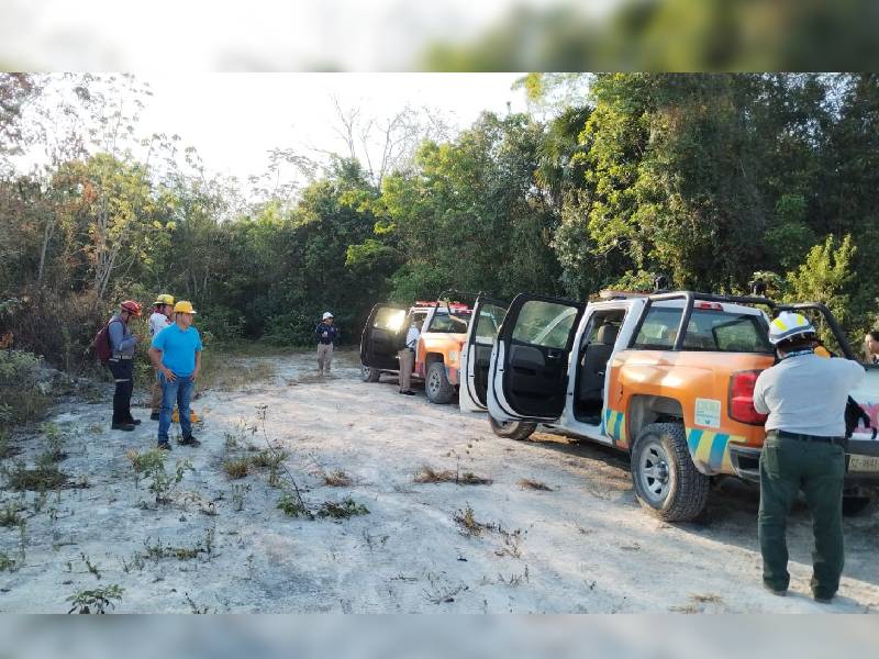 Puerto Morelos, único municipio de Q.Roo sin incendios forestales