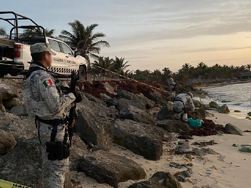 En playas de Tulum entre el sargazo encuentran paquetes de estupefacientes