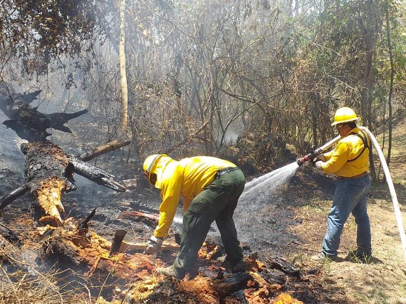 En una semana se duplica afectación por incendios