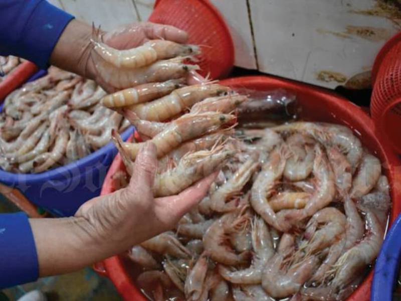 Camarones cerca de la veda y no han alcanzado su meta