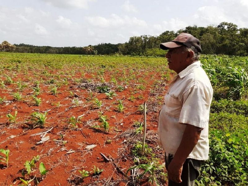 Gestionan beneficios a campesinos en los campos de cultivos
