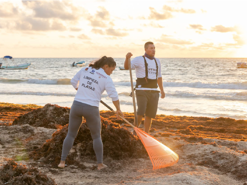 Inicia limpieza de playas en Tulum
