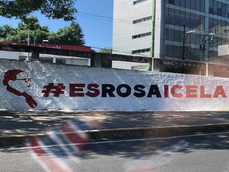 Rosa Icela Rodríguez propaganda