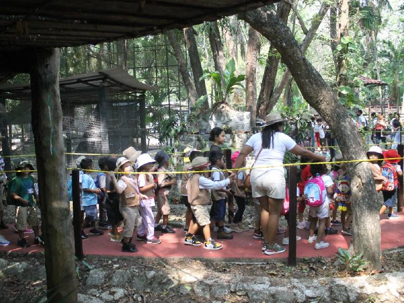 zoologico