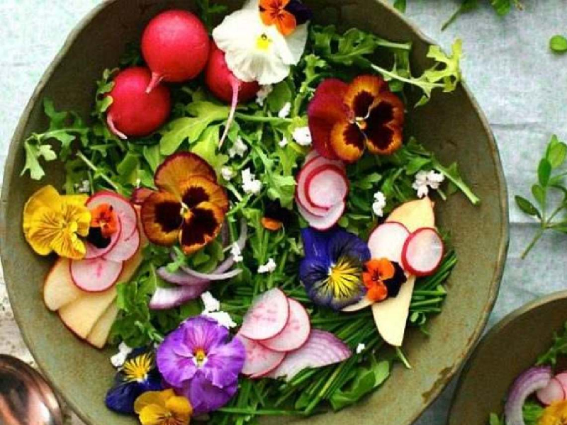 Descubre la belleza y el sabor de las flores comestibles