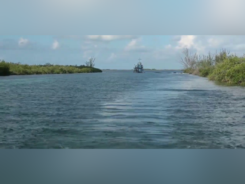 Preparan estudio para viabilidad del canal de Zaragoza