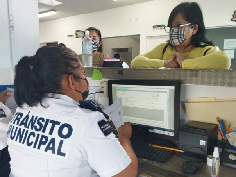 Expedirá el estado las licencias de conducir
