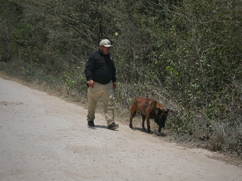 Continúa operativos de búsqueda de desaparecidos en Cancún y Felipe Carrillo Puerto