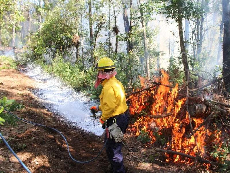Controlados, los incendios forestales