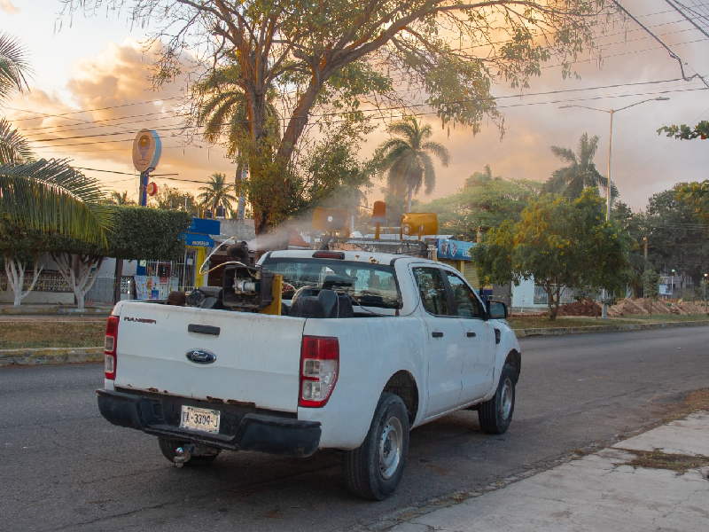 Q. Roo, primer lugar nacional en casos de dengue