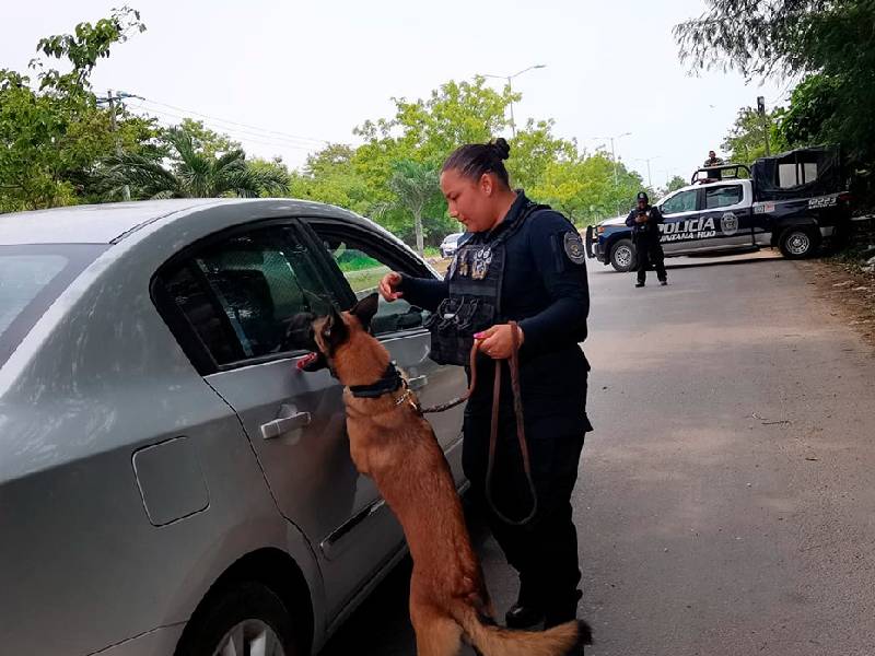 Realizan operativo de prevención en colonias, mercados y plazas de Chetumal