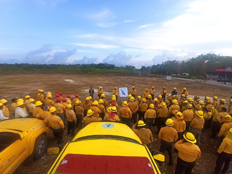 Controlan incendio forestal “San José” en el municipio de Lázaro Cárdenas