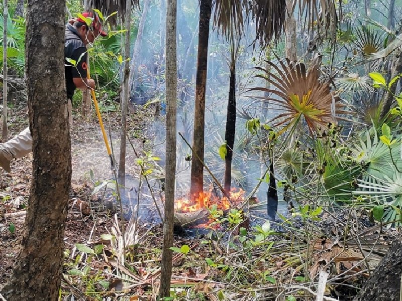 Realizan trabajos de brecha corta fuego para mantener el control