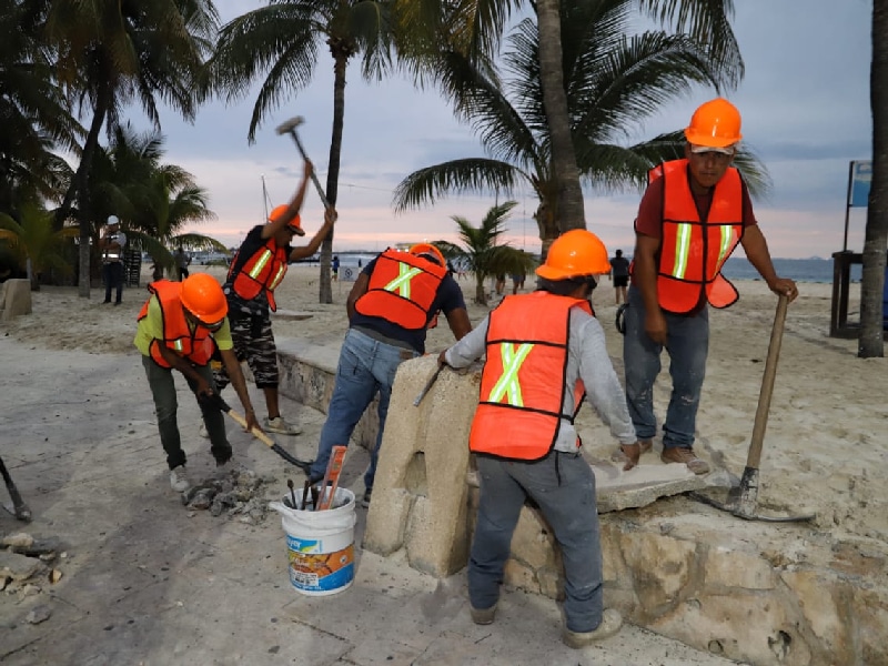 Atenea Gómez embellece la avenida Rueda Medina