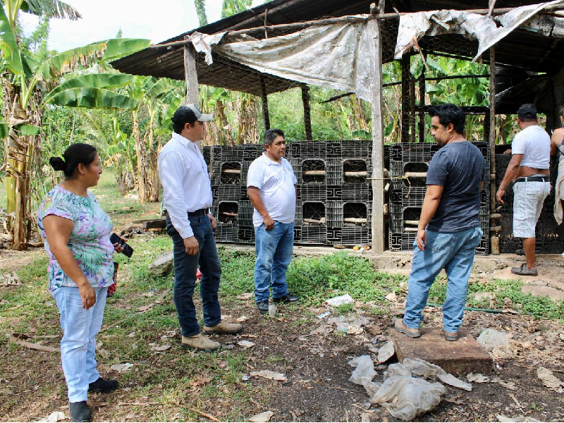 Impulsan programa de residuos orgánicos en Leona Vicario