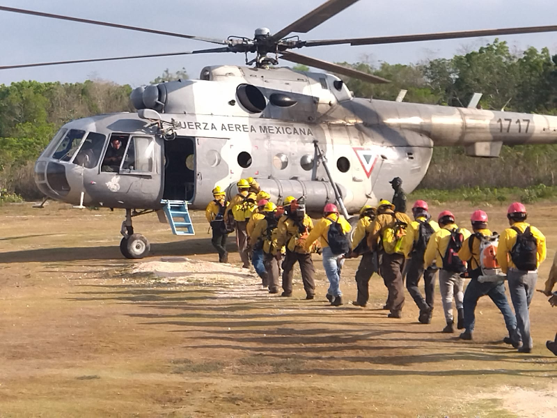 Con 90% de control, incendio forestal “San José” en municipio de Lázaro Cárdenas