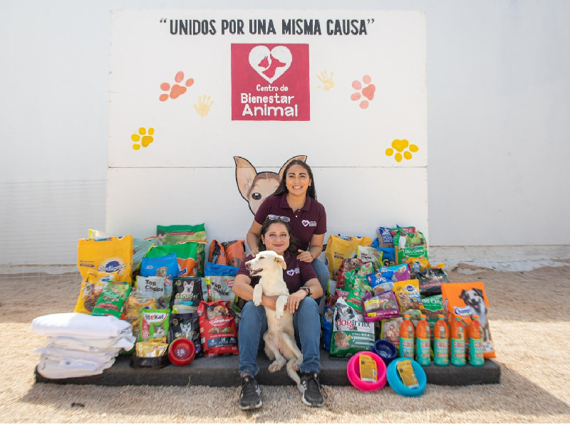 Centro de Bienestar Animal de Felipe Carrillo Puerto fomenta adopción de perros y gatos