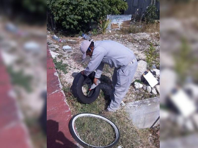 Rebasa Quintana Roo los mil casos de Dengue 