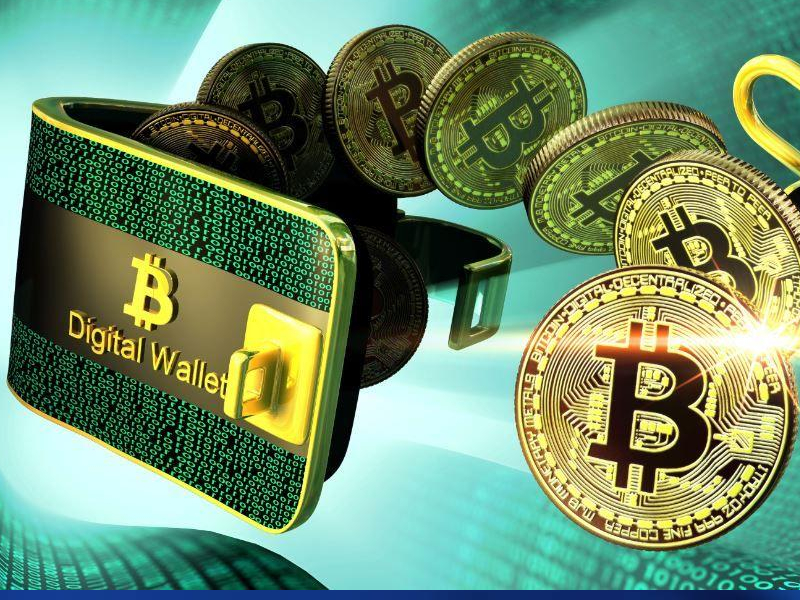 criptomonedas en monederos