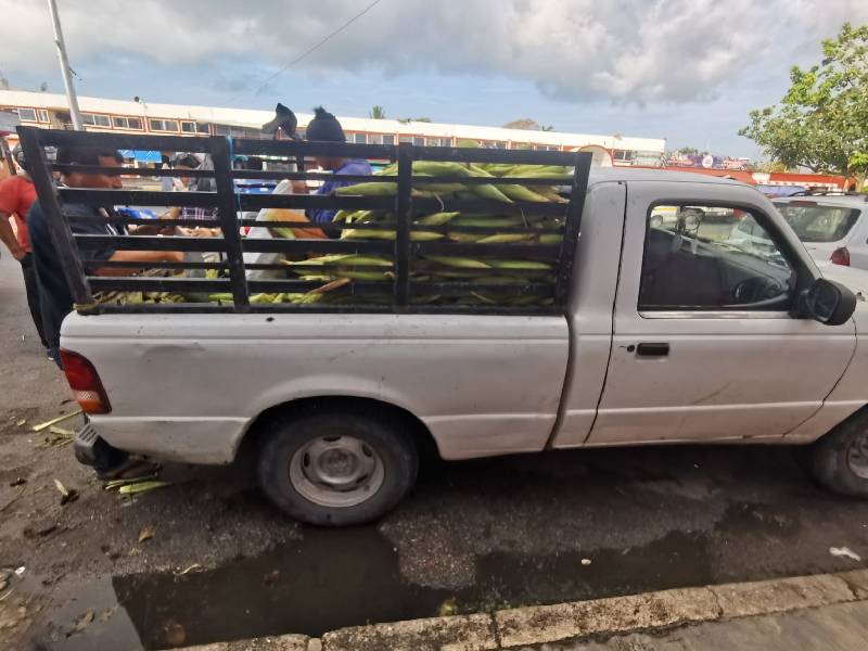 elotes