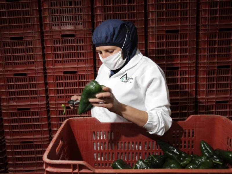 exportaciones agropecuarias