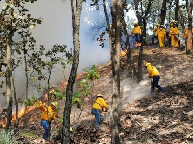incendios