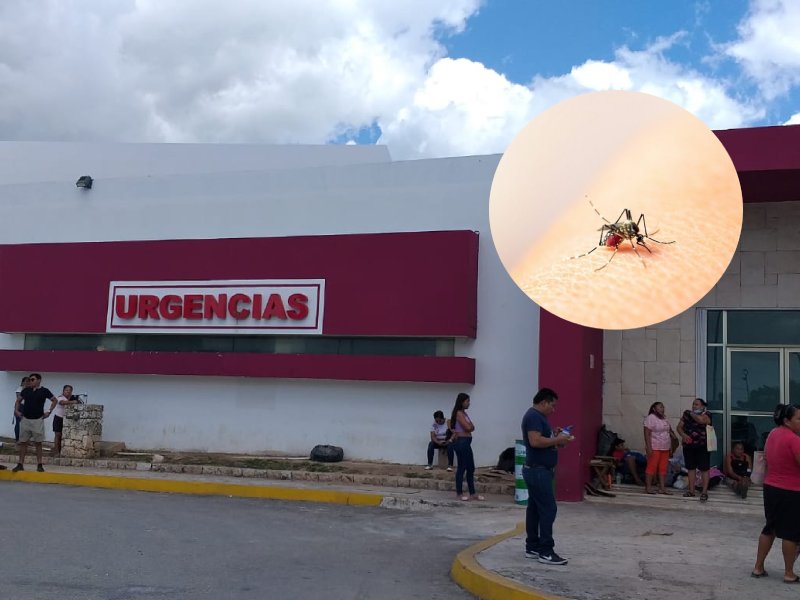 Sigue Q. Roo a la cabeza en dengue