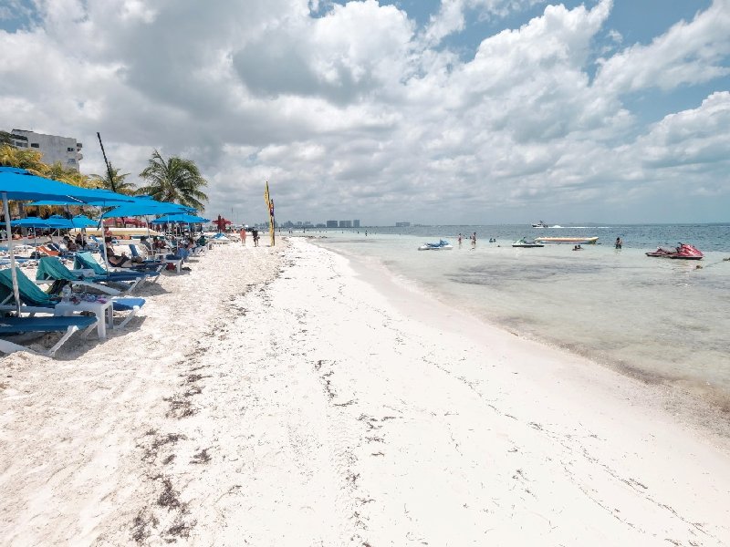 Defienden esfuerzos por tener playas sin sargazo