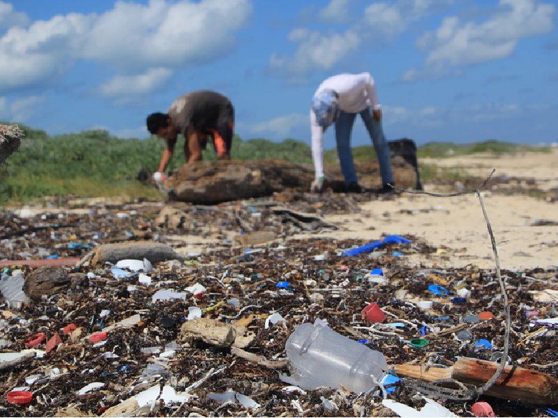 Bacalar se une a la lucha contra la contaminación plástica con nuevas medidas