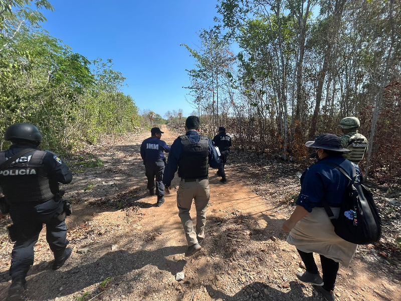 Encuentran osamentas en la selva de la zona maya de Quintana Roo