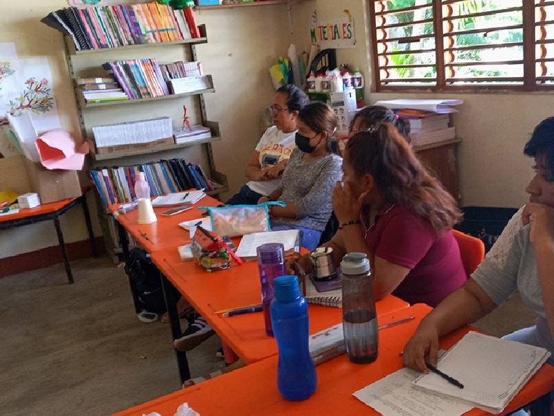 Becas federales a jóvenes los alejan del Conafe: coordinador
