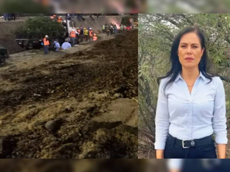 Alcaldesa de León se arrepiente por talar árboles para estacionamiento