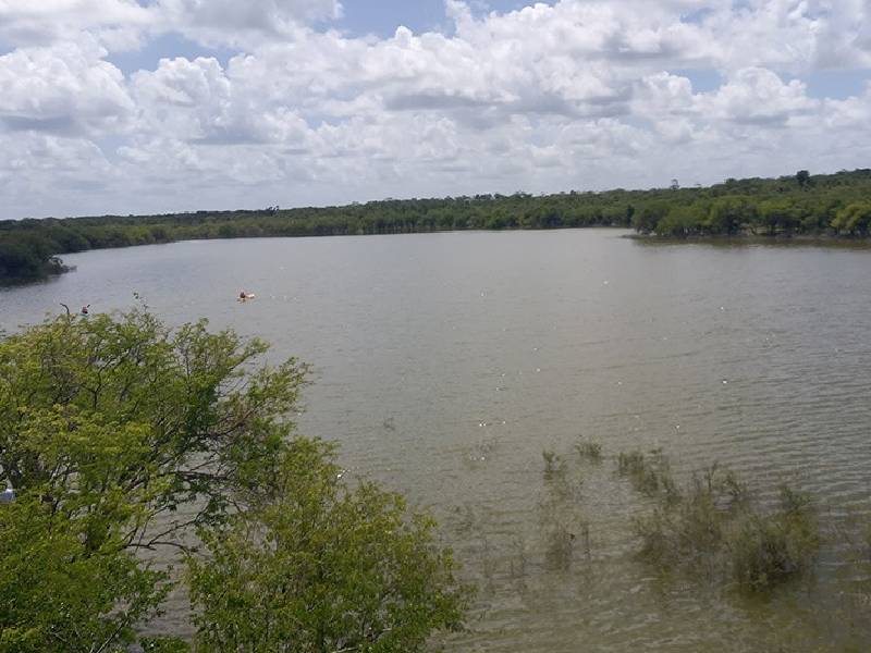 Buscan aprovechar "boom" del Tren Maya para detonar ecoturismo