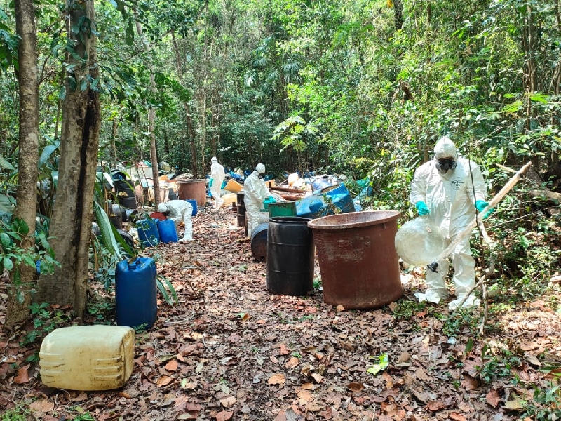 Desmantelan un laboratorio de estupefacientes clandestino en FCP