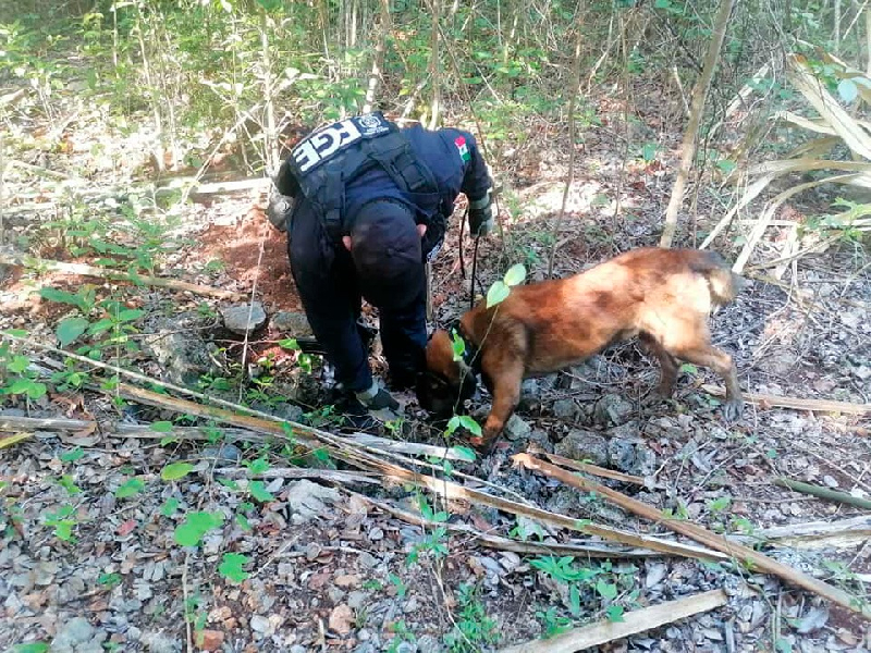 Localizan dos personas sin vida en la selva de José María Morelos