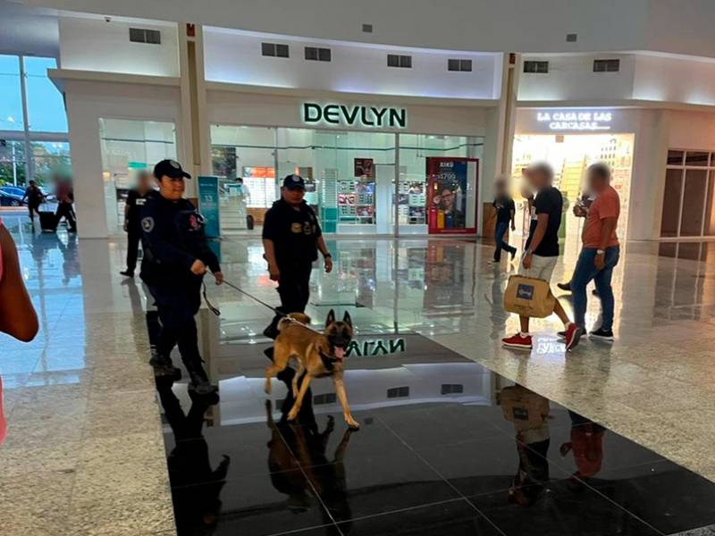 unidad canina quintana roo