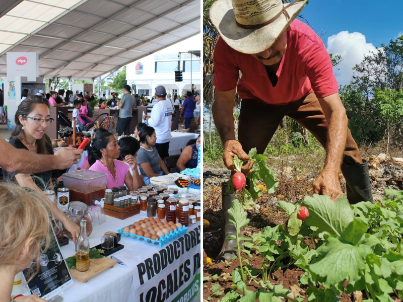 Abren nuevos mercados para la producción agropecuaria de Leona Vicario