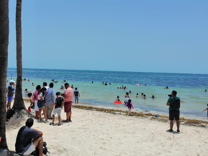 Descansan las playas del sargazo