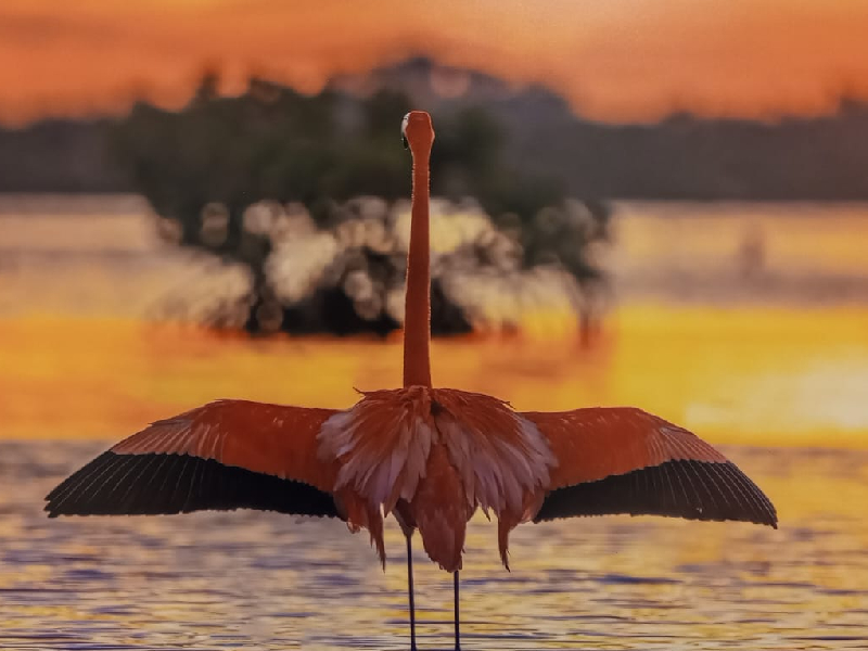 Piden fotógrafos proteger la belleza de la Península