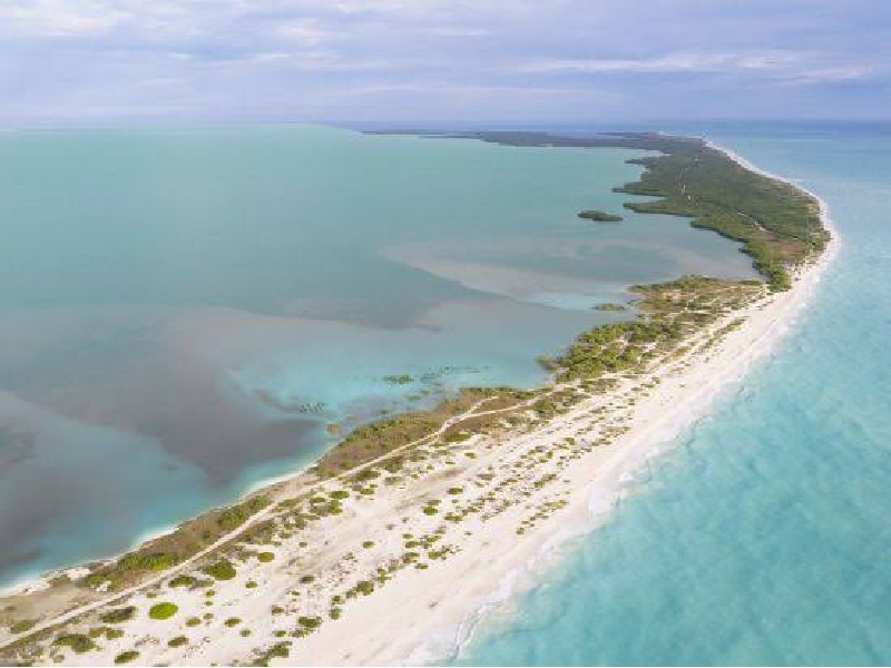 Litorales de Quintana Roo están asegurados