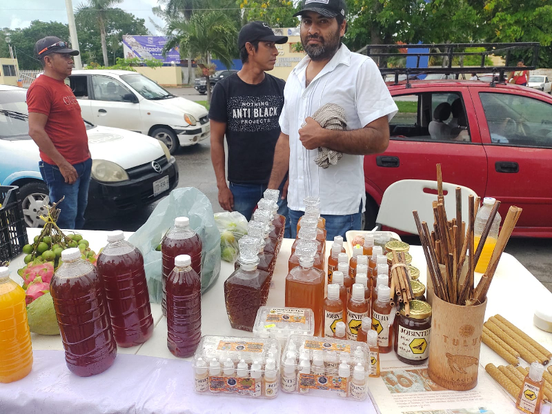 Afectó sequía a apicultores