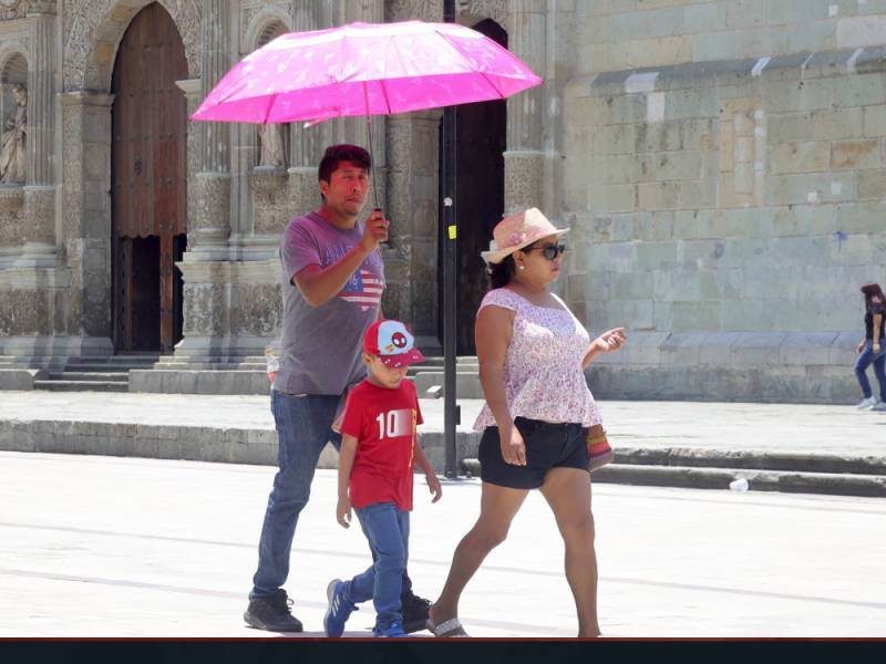 ¡Qué calor! El 3 de julio de 2023 fue declarado el día más caluroso en la historia