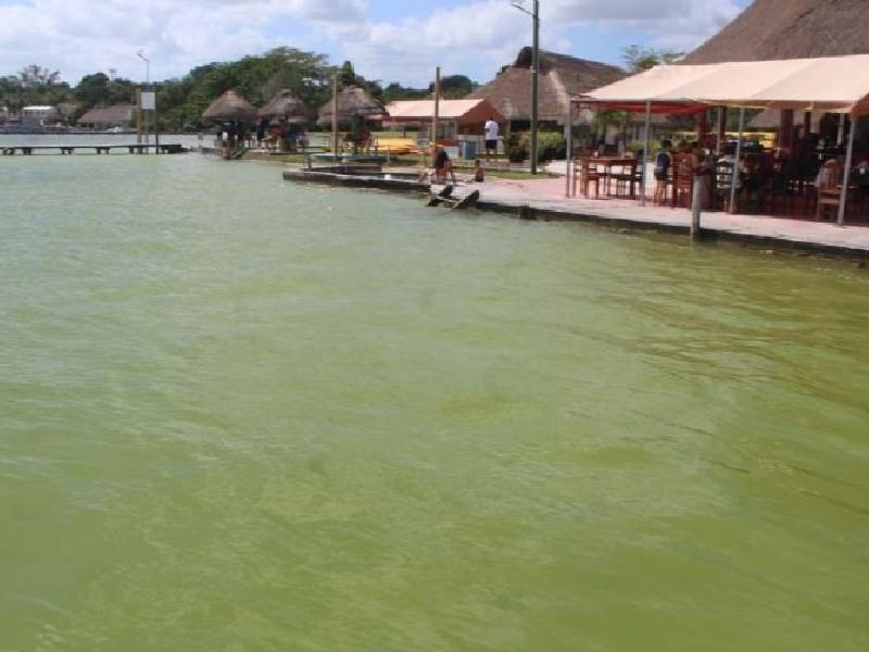 Preparan contención para proteger la laguna de bacalar 
