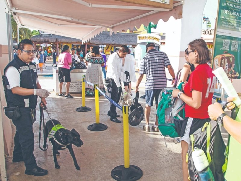 Sader busca evitar entrada de plagas al país en verano