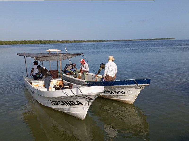 Apremian pescadores de Holbox tener cámara hiperbárica