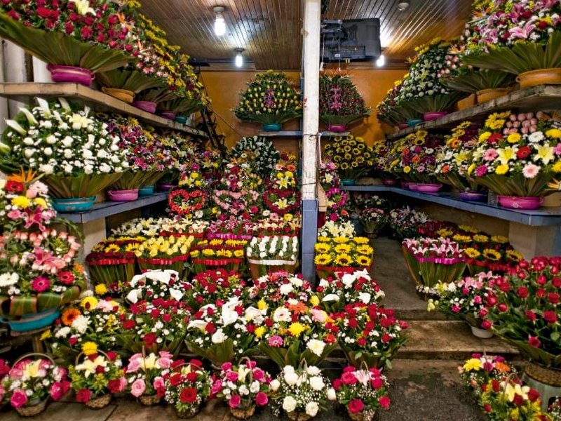 flores