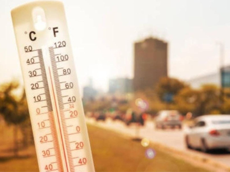 Calor