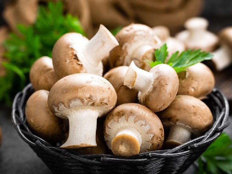 Champiñones, deliciosos tesoros de la naturaleza en tu plato